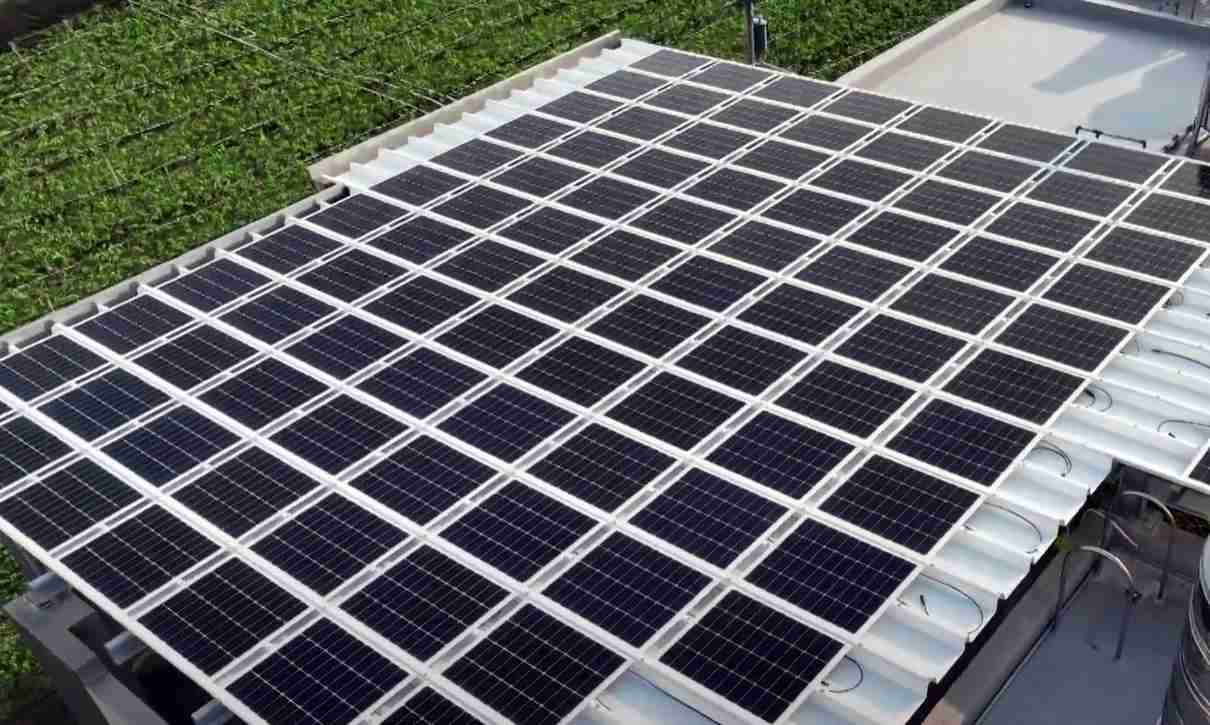 糖果派对SunSteel光电浪板升级双玻结构，，以提升机械负载强度及气候耐候度，，，，可广泛运用于多元场域